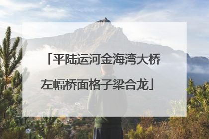 平陆运河金海湾大桥左幅桥面格子梁合龙